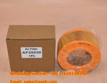 AF25530 Air Filter Element for Lister TS1A09